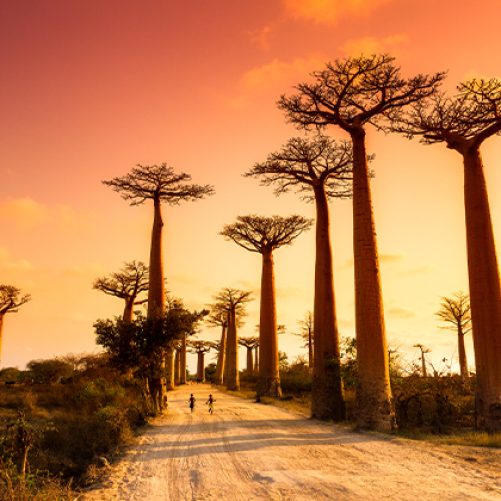 Madagascar