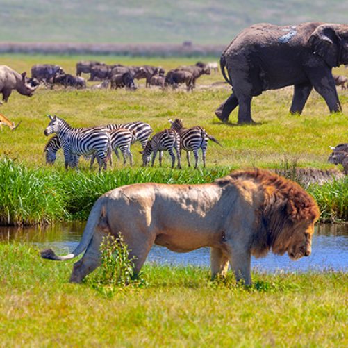 Tanzania